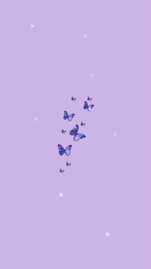 Söpö violetti taustakuva — Söpö violetti Taustakuvat