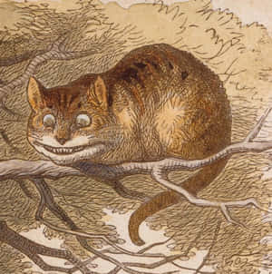 Cheshire-kissan kuvia — Cheshire Cat Taustakuvat
