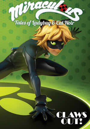 Mustan Kissan kuvia — Cat Noir Taustakuvat