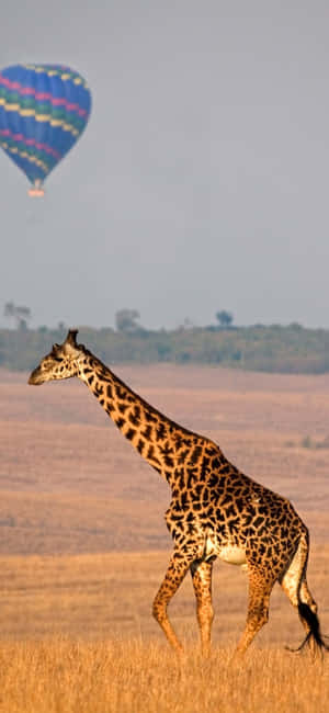 1080x2340 — iPhone Air Taustakuvat
