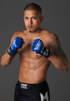 Kuuma latino UFC-taistelija Anthony Pettis — OnePlus Pad 3 Taustakuvat