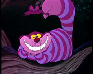 Cheshire-kissan kuvia — Cheshire Cat Taustakuvat