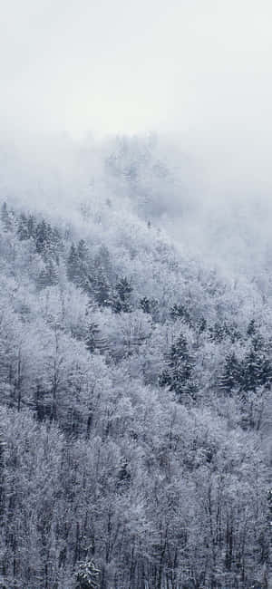 Snow Iphone — iPhone 18 Pro Max Taustakuvat
