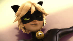 Musta Kissa kuvia — Cat Noir Taustakuvat