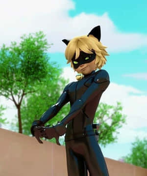 Cat Noir-kuvia — Cat Noir Taustakuvat