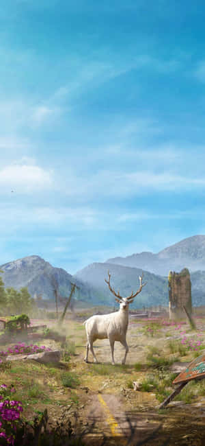 iPhone X Far Cry 3 -taustakuva — Honor X Taustakuvat