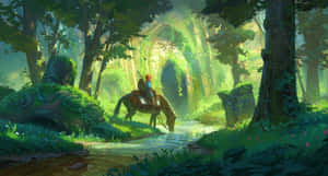 Link, Hyrulen sankari The Legend of Zeldassa
