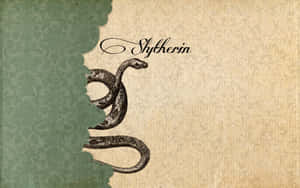 Slytherin-estetiikkakuvia — Slytherin estetiikka Taustakuvat