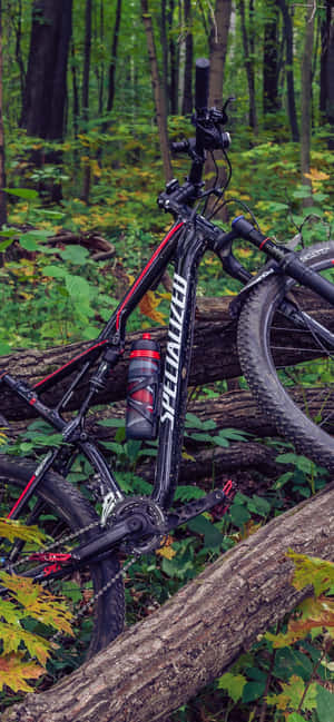 Mountain Bike Iphone — Vivo V60e Taustakuvat