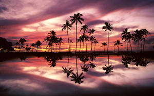 Macbook Air Island Sunset — MacBook Air Taustakuvat