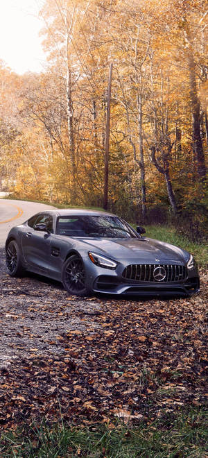 Mercedes AMG IPhone Autumn Trees — iPhone 14 Plus Taustakuvat