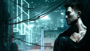 Sleeping Dogs -taustakuva — Nukkuvat koirat Taustakuvat