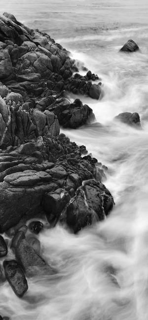 Monokromaattinen Iphone Xs Taustakuva