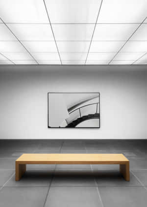 Museotausta — OnePlus Pad 2 Pro Taustakuvat