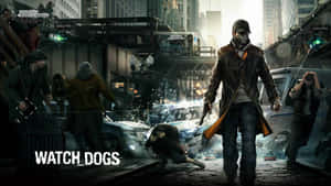 Sleeping Dogs -taustakuva — Nukkuvat koirat Taustakuvat