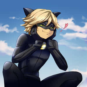 Kuvia Mustasta Kissasta — Cat Noir Taustakuvat