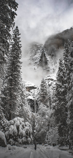 Yosemite iPhone — iPhone 18 Taustakuvat