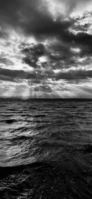 Mustavalkoisia iPhone-kuvia — POCO C95 Pro Taustakuvat