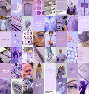 Violetti kollaasi — Vaalean violetti estetiikka Taustakuvat