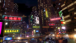 Sleeping Dogs -taustakuva — Nukkuvat koirat Taustakuvat