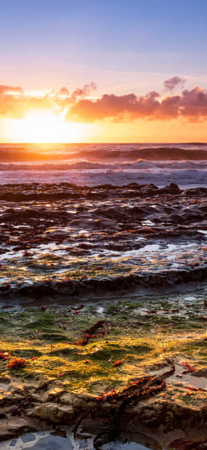Iphone X Kalifornia tausta — POCO M8 Taustakuvat