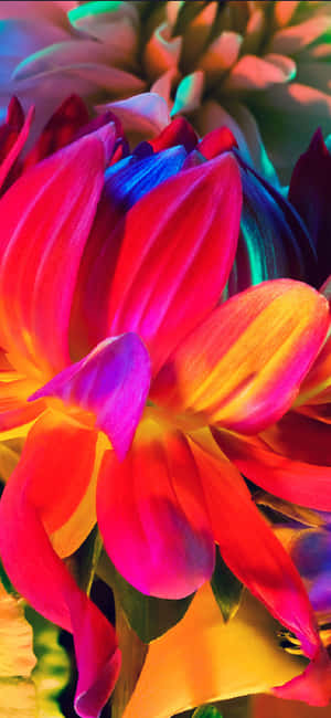 Rainbow Flower Iphone — Galaxy S26 Ultra Taustakuvat