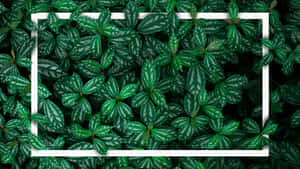 5120x2880 — 5120x2880 Taustakuvat