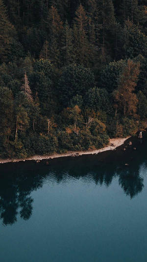 Järvi vehreän metsän ympäröimänä ilmakuva iPhone XR -taustakuva — iPhone Xr Taustakuvat