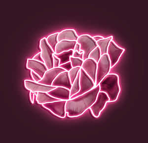 Neonpinkkejä esteettisiä kuvia — Neon pink estetiikka Taustakuvat