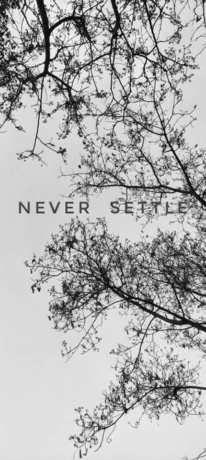 Never Settle valkoinen musta puu — iPhone 14 Pro Taustakuvat