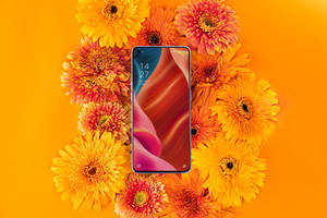 Oppo-älypuhelin ja kukoistava kasvisto