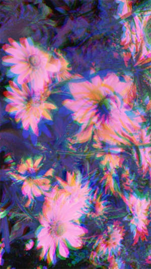 Päivänkakkara Trippy Estetiikka