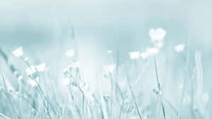 5120x2880 — 5120x2880 Taustakuvat
