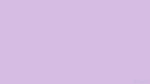 Pastellin violetti tausta — Pastellilila Taustakuvat