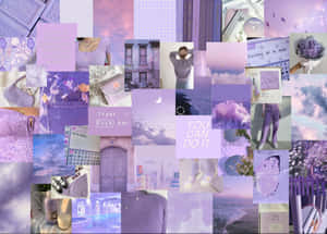 Pastellin violetti tausta — Pastellilila Taustakuvat