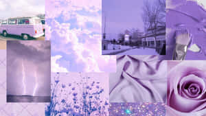 Pastellin violetti tausta — Pastellilila Taustakuvat