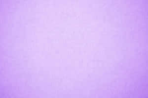 Pastellin violetti tausta — Pastellilila Taustakuvat