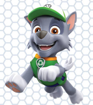 Paw Patrol Rocky -taustakuva — Nubia Fold Taustakuvat
