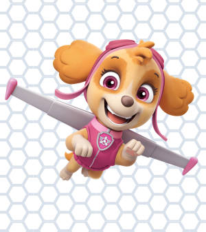 Paw Patrol Skye -taustakuva — Oppo Find N Taustakuvat