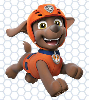 Paw Patrol Water Rescuer Zuma -taustakuva — Oppo Find N5 Taustakuvat