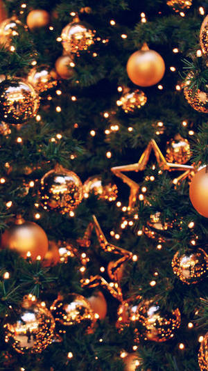 Preppy Christmas — Preppy joulu Taustakuvat