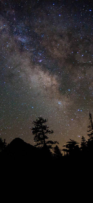 Pretty Galaxy Mountain Forest — iPhone 12 Taustakuvat