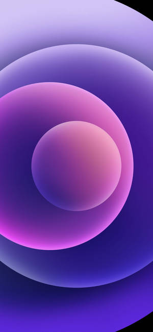 Purppurat pallot iPhone 12 taustakuva — iPhone 12 Taustakuvat