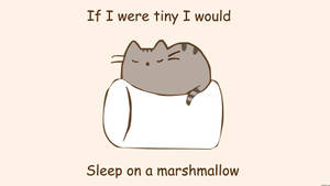 Pusheen Nukkumassa Vaahtokarkilla -taustakuva — Yksinkertainen Taustakuvat