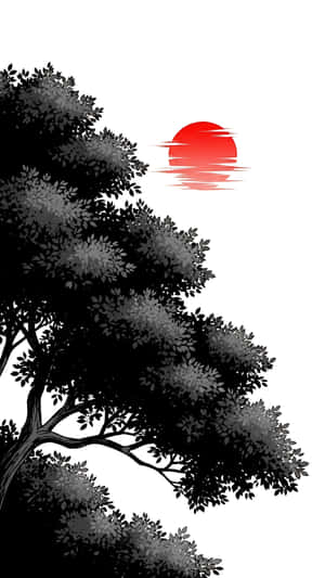 muste, puu, aurinko, minimalistinen — 1440x2560 Taustakuvat