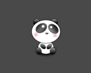 Panda taustakuva — Panda Taustakuvat