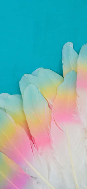 1080x2340 — iPhone 14 Pro Max Taustakuvat
