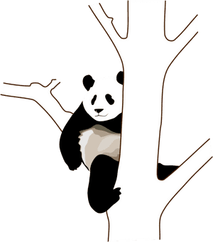Rento puuhun takertuva panda — Panda Taustakuvat