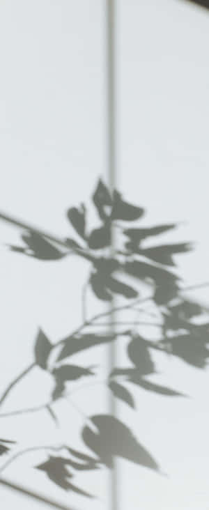 1080x2636 — Motorola Razr Ultra 2026 Taustakuvat