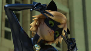 Kuvia Mustasta Kissasta — Cat Noir Taustakuvat